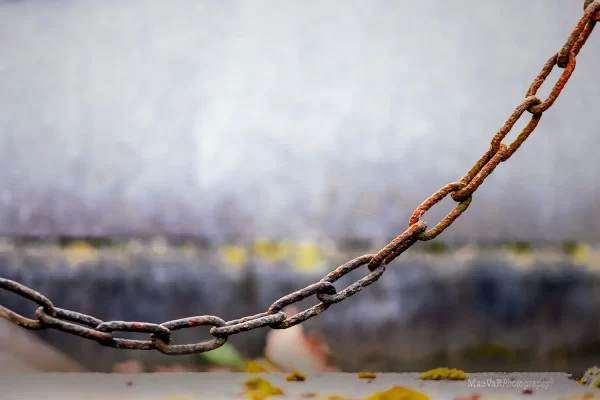 20240225_Verbinding1